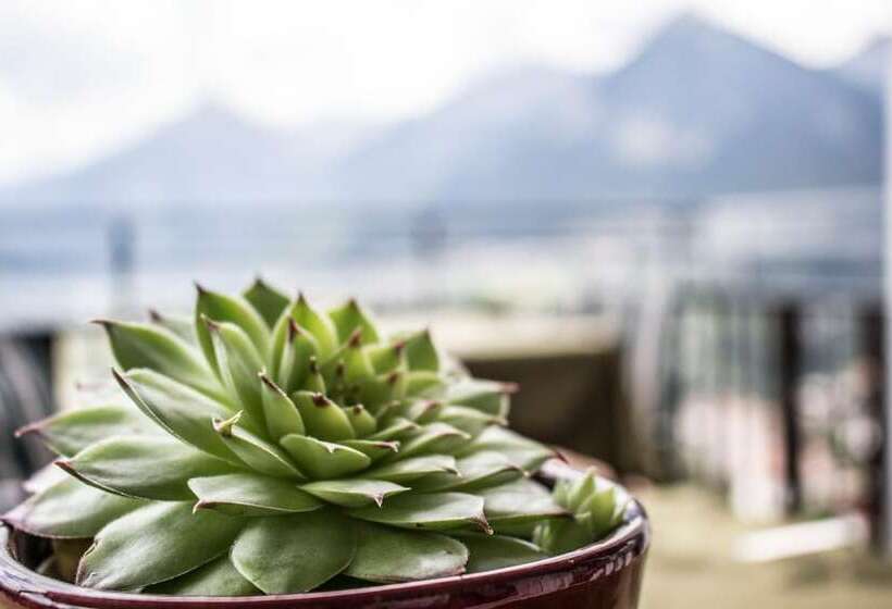 Schenna Garni Eden Bed & Breakfast