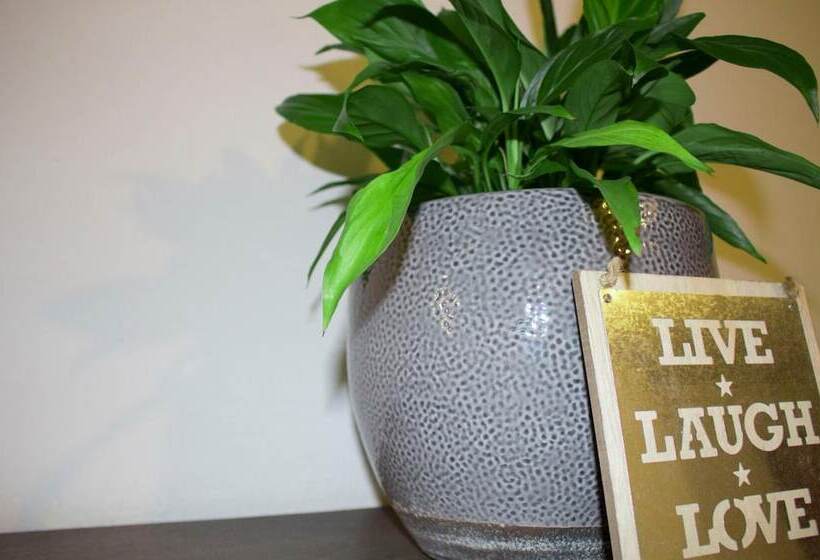 Schenna Garni Eden Bed & Breakfast