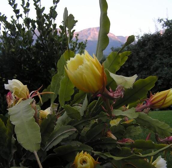 Appartements Kortscherhof