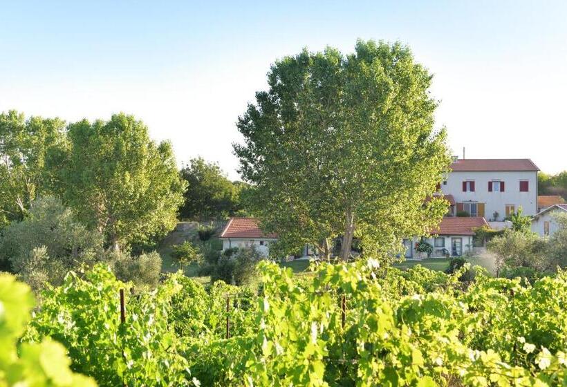 فندق Agriturismo Arte Et Agricoltura
