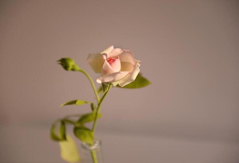 فندق Agriturismo Arte Et Agricoltura