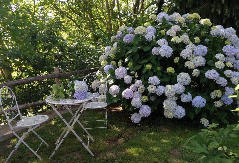 בית מלון כפרי Agriturismo Renaccio