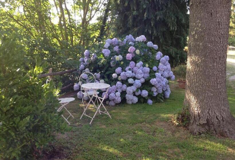 בית מלון כפרי Agriturismo Renaccio