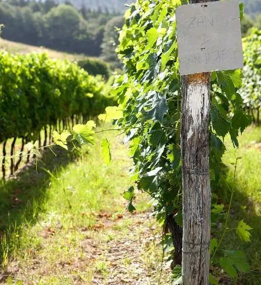 هتل Fattoria Poggio Capponi