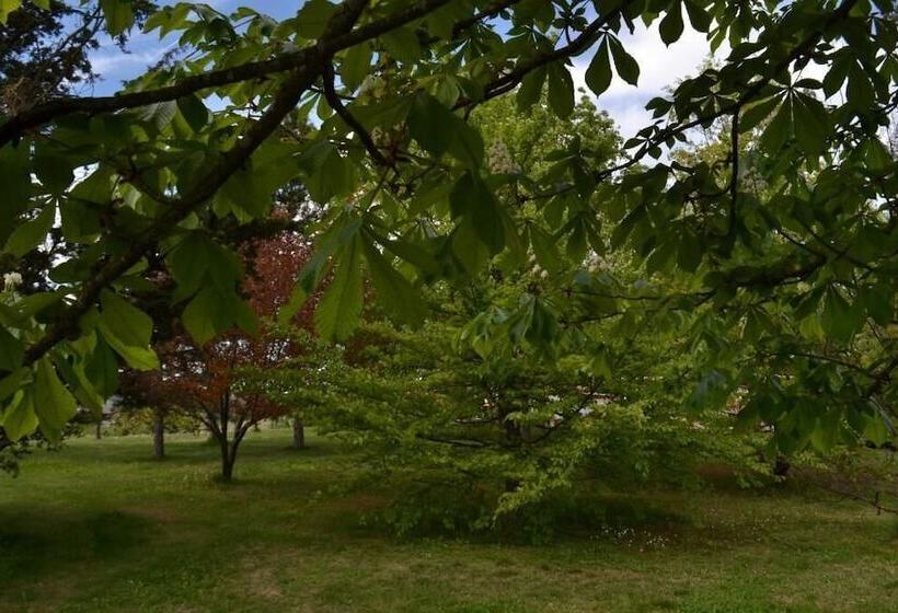 Residence La Quiete   5 Mins By Car From City Center 10 Mins From Langhe & Roero