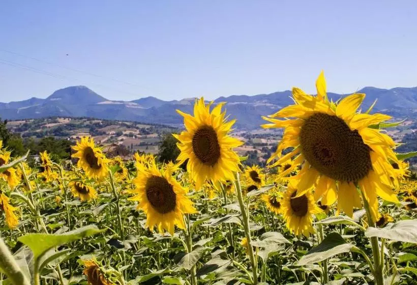 ホテル Agriturismo L'esinante