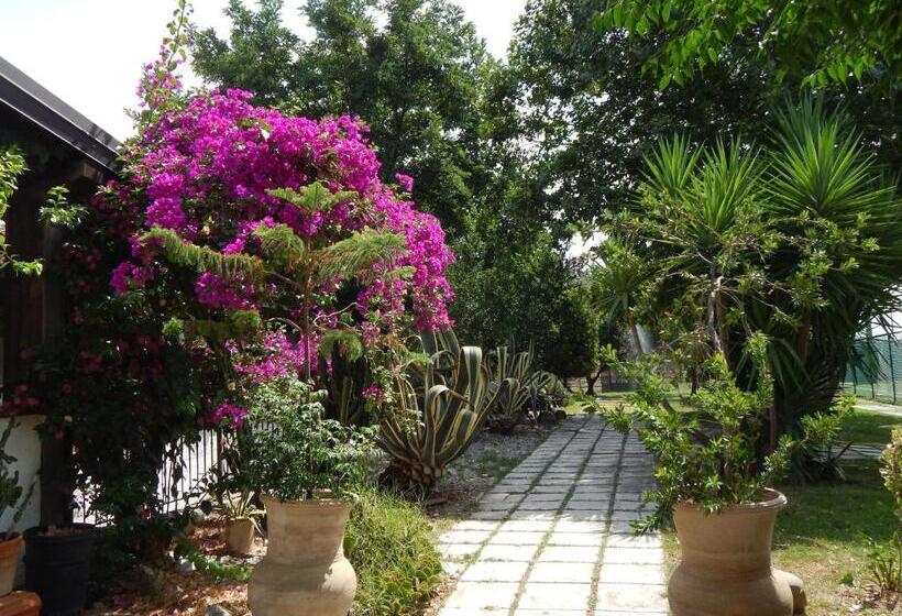 בית מלון כפרי Agriturismo Ricciardulli