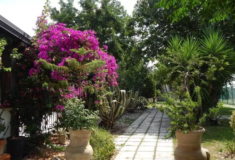 هتل Agriturismo Ricciardulli