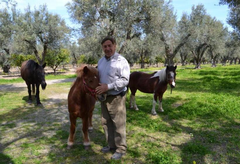 Отель Agriturismo Il Maresciallo