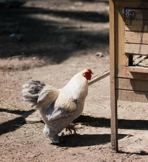 فندق Agriturismo Ma Che Bel Castello