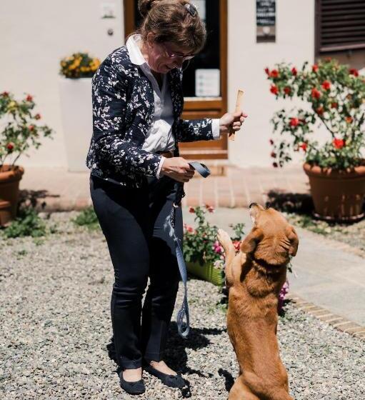 فندق Agriturismo Ma Che Bel Castello