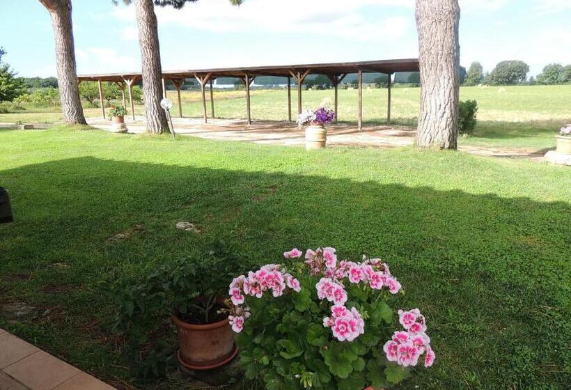 Отель Agriturismo Valle Martina