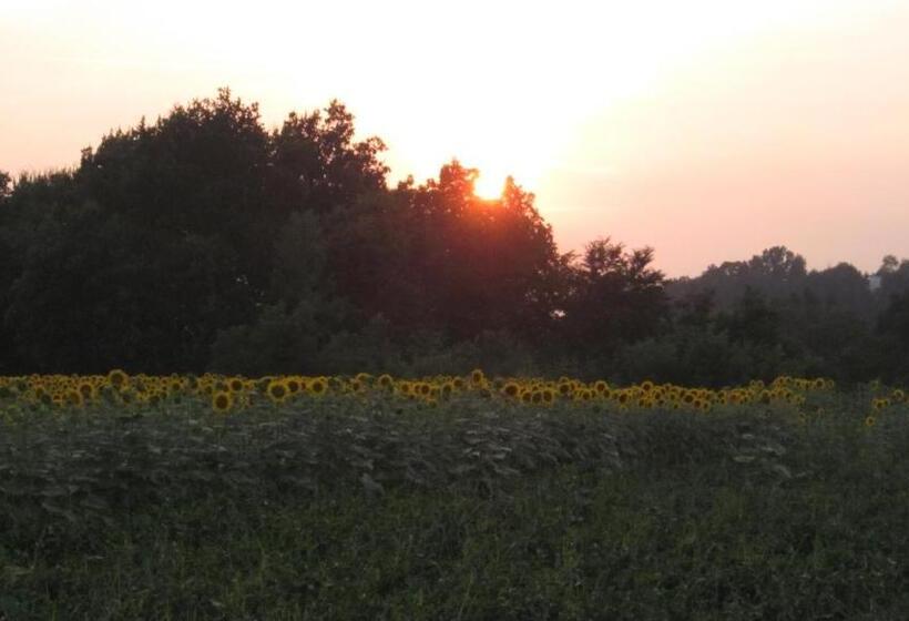 فندق Al Casale B&b