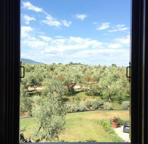 Отель Il Casale Degli Ulivi   Agriturismo