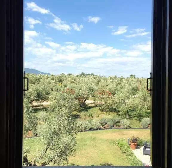 ホテル Il Casale Degli Ulivi   Agriturismo
