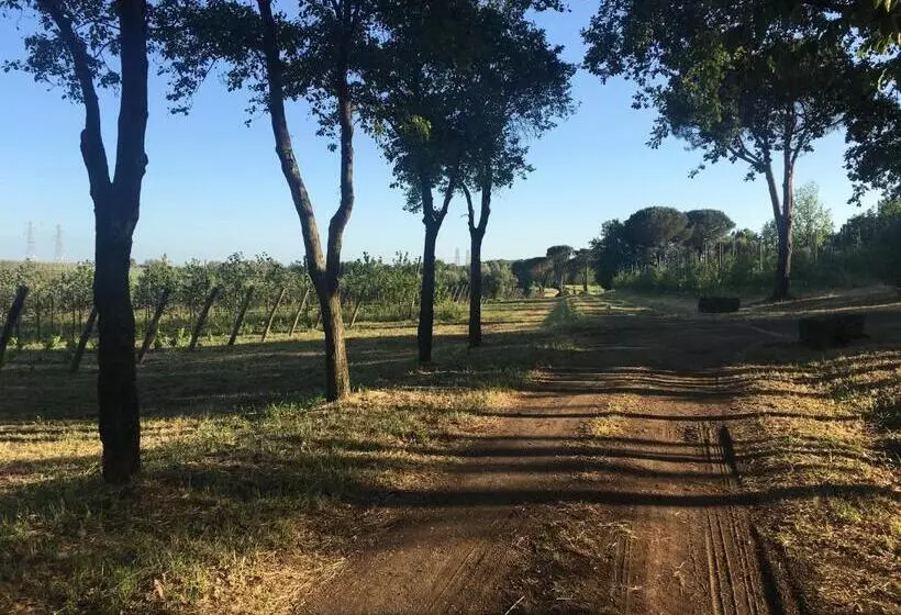 ホテル Il Casale Degli Ulivi   Agriturismo