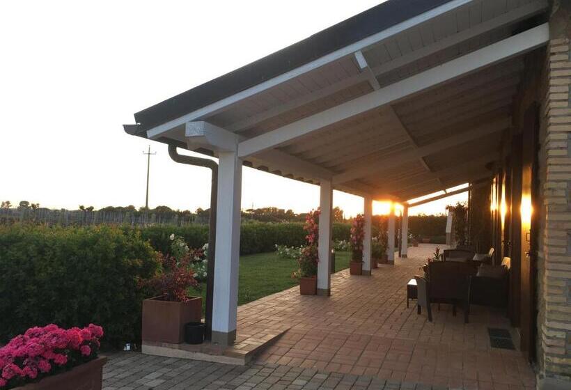 Отель Il Casale Degli Ulivi   Agriturismo