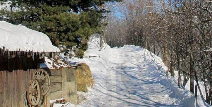 הוסטל Berggasthof Trattes