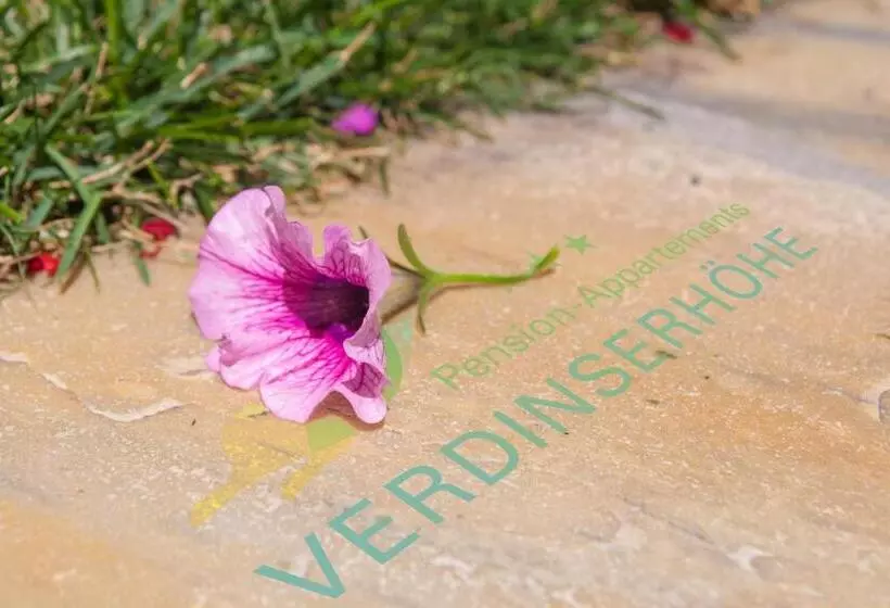 Appartements Verdinserhöhe