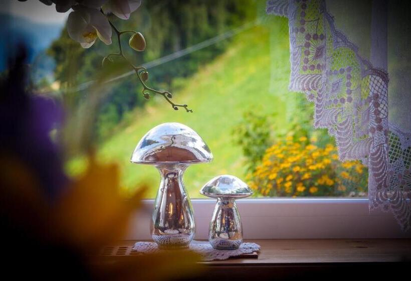 Appartements Verdinserhöhe