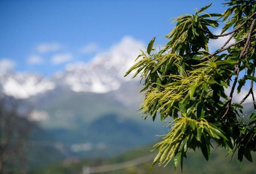 Отель Agriturismo L Ciabot