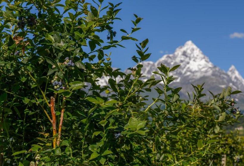 Отель Agriturismo L Ciabot