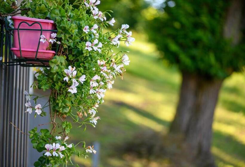 Отель Agriturismo L Ciabot