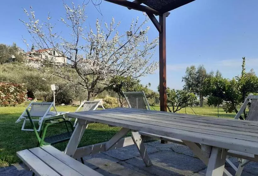ホテル Agriturismo Peterpan