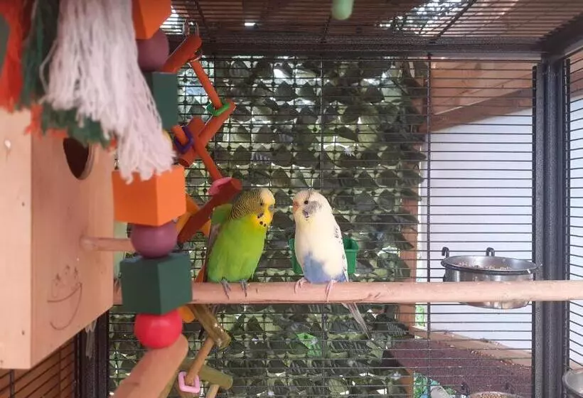ホテル Agriturismo Peterpan