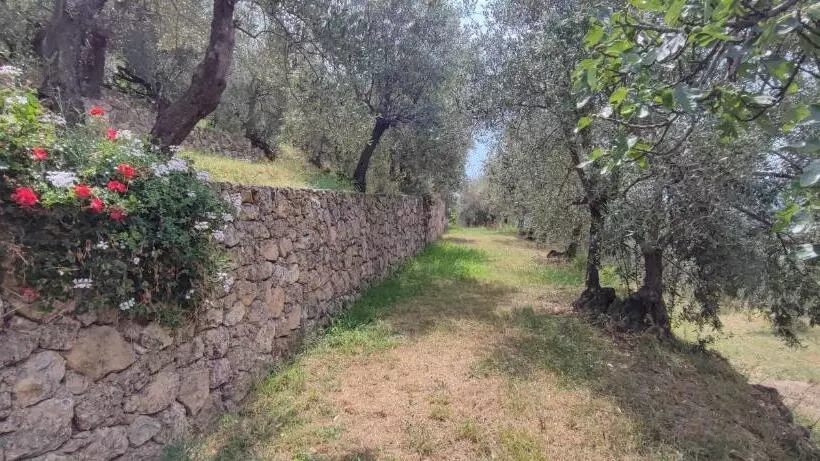 ホテル Agriturismo Peterpan