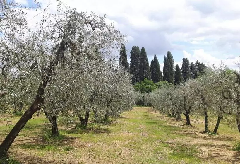 ホテル Agriturismo Podere Sertofano