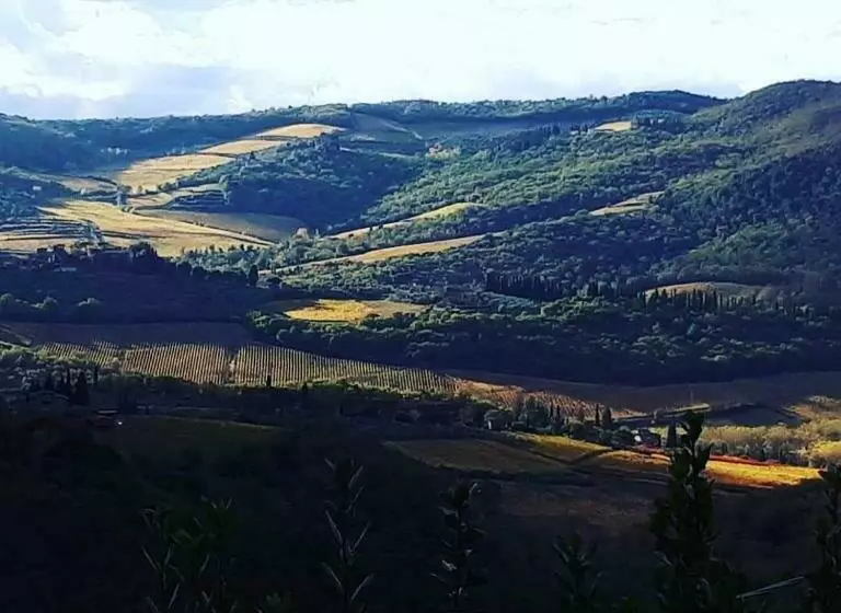 هتل Agriturismo Poggio All'olmo