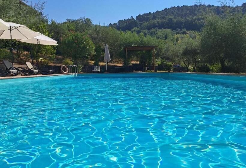 Hotelli Agriturismo Poggio All'olmo