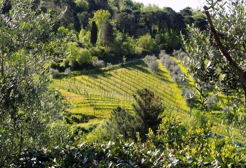 هتل Agriturismo Poggio All'olmo