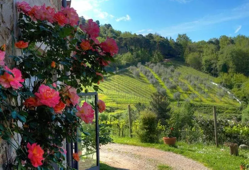 هتل Agriturismo Poggio All'olmo