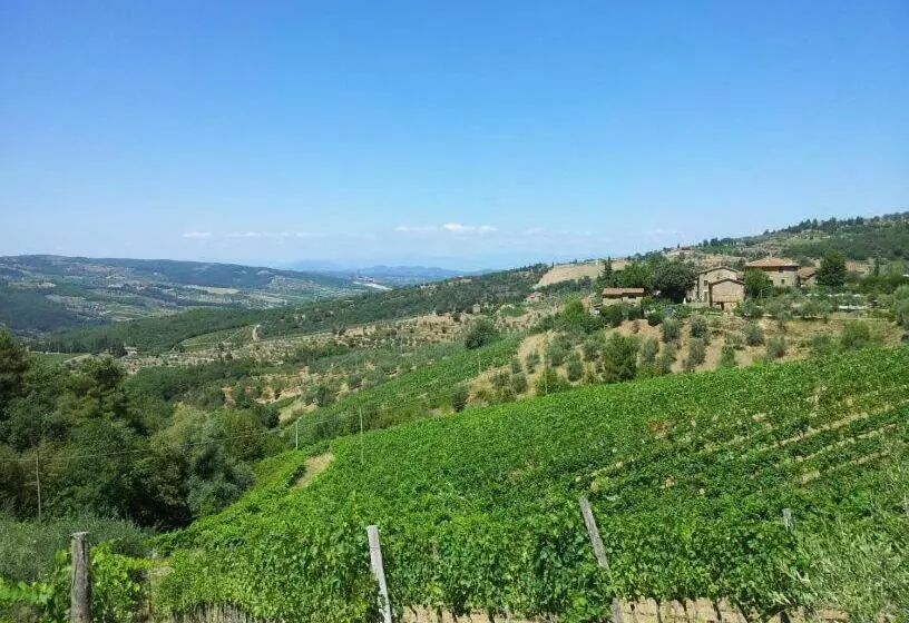 هتل Agriturismo Poggio All'olmo