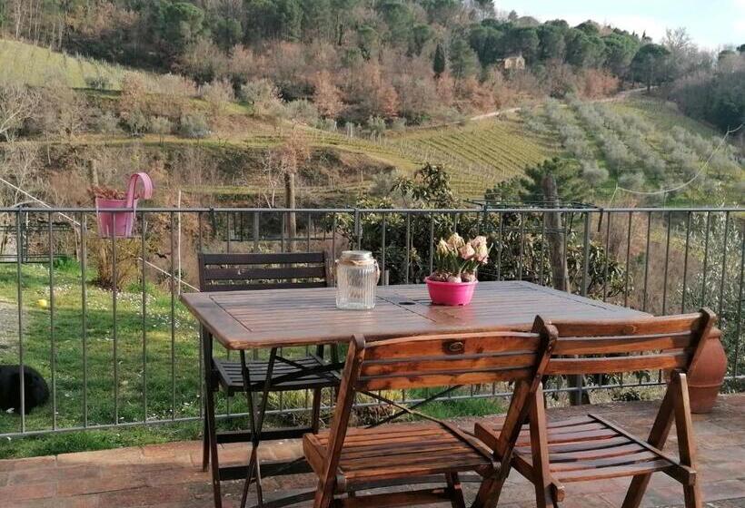 Hotelli Agriturismo Poggio All'olmo