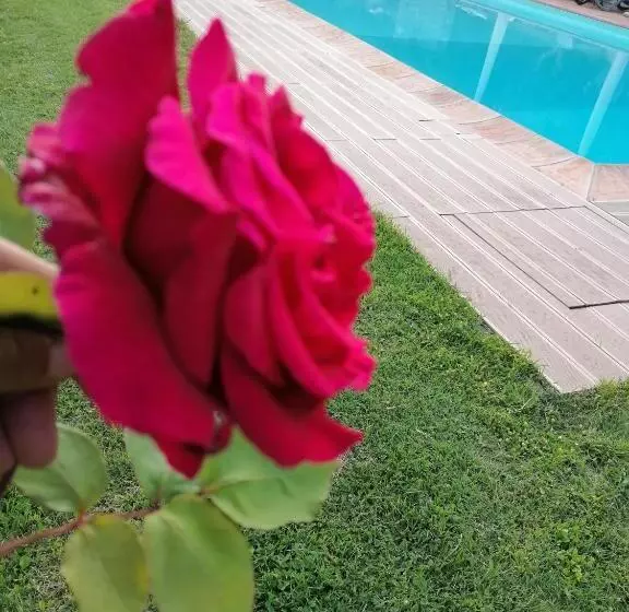 هتل Agriturismo Poggio All'olmo