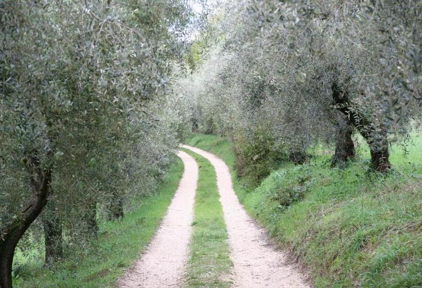 Отель Agriturismo Terra Sabina