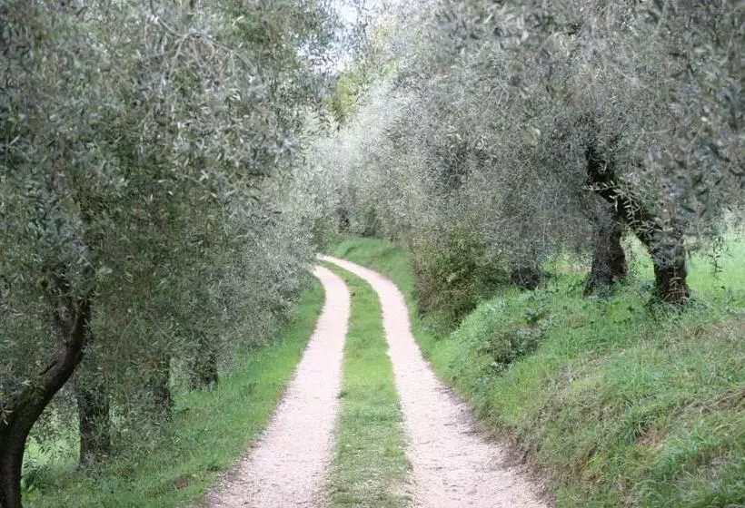 Hotelli Agriturismo Terra Sabina