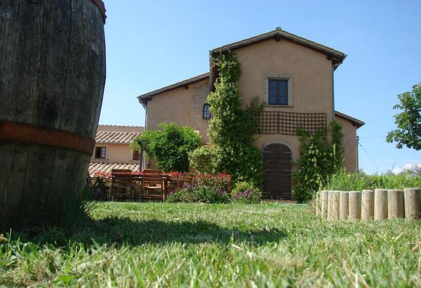 Отель Agriturismo Terra Sabina