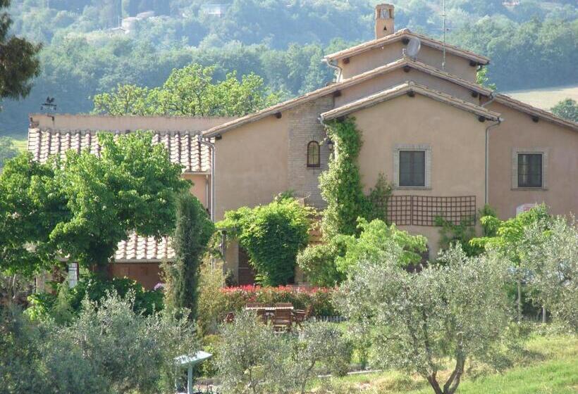 Отель Agriturismo Terra Sabina