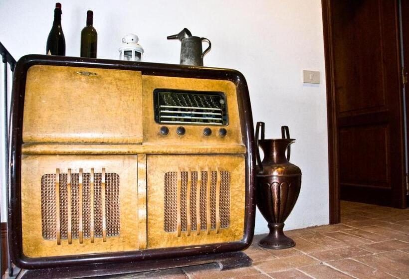 Отель Agriturismo Terra Sabina