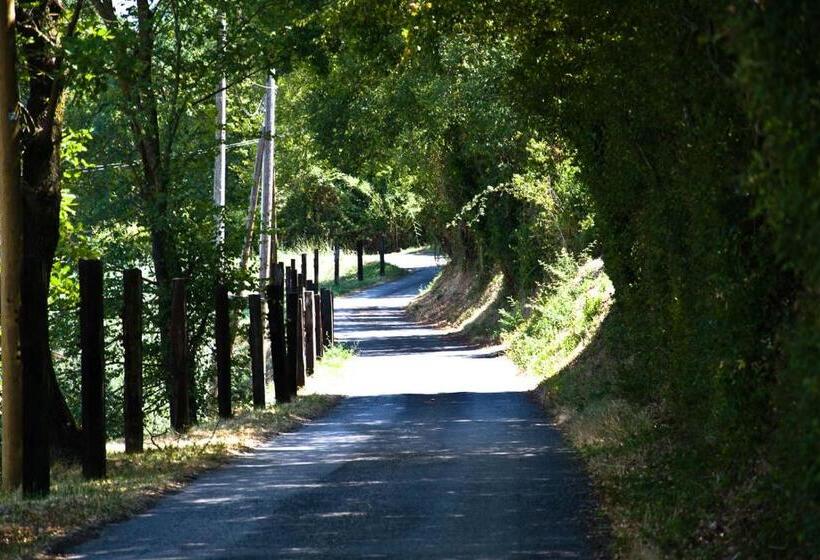 Отель Agriturismo Terra Sabina