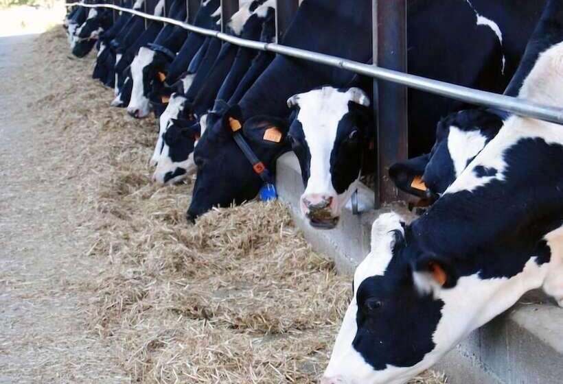 酒店 Cascina Bosco Gerolo