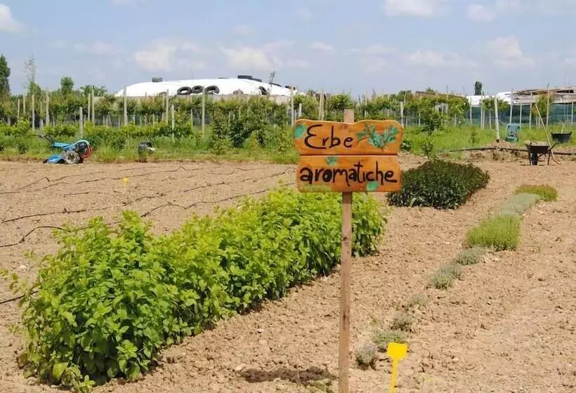 ホテル Cascina Bosco Gerolo