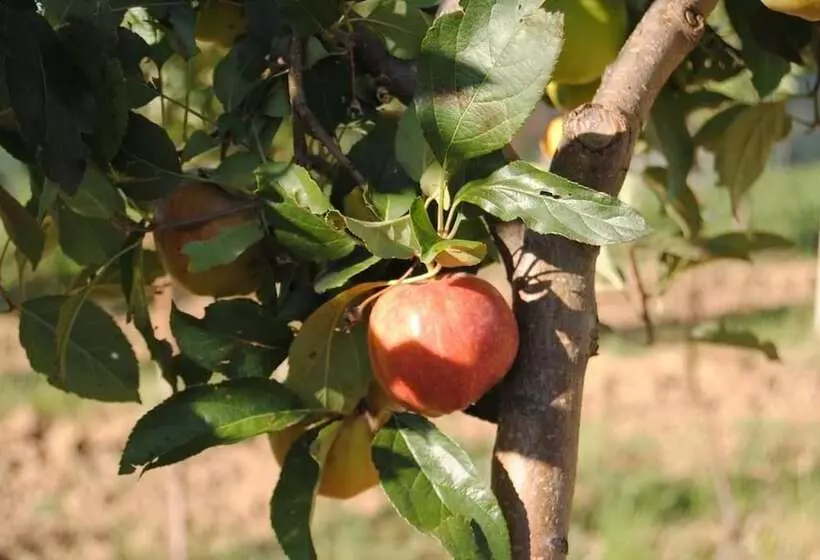 ホテル Cascina Bosco Gerolo