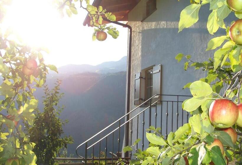 בית מלון כפרי Lafreiderhof