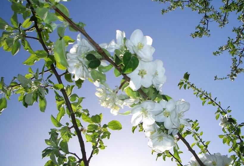 בית מלון כפרי Lafreiderhof