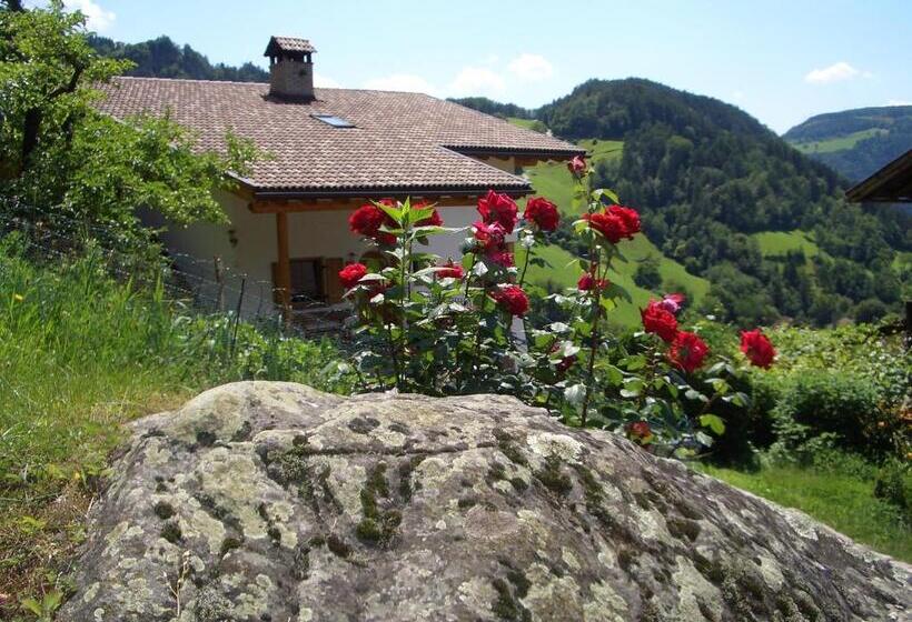 בית מלון כפרי Lafreiderhof